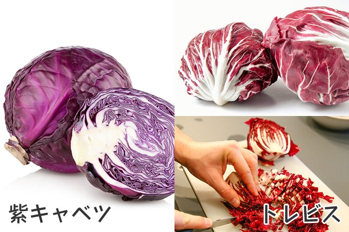 紫キャベツとは違う イタリア生まれの西洋野菜トレビスとは たべるご