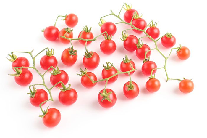 小さくても味が濃厚なマイクロトマトとは 極小トマトの食べ方や栄養 育て方まで たべるご