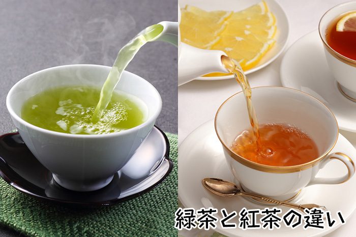 緑茶と紅茶の違い