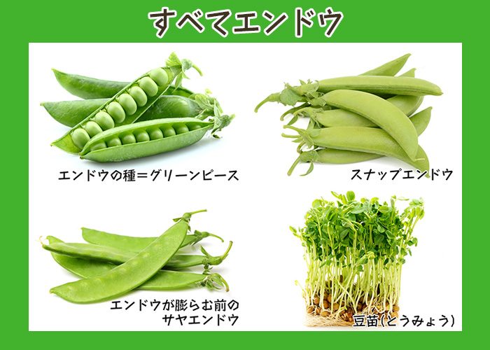 エンドウ豆の種類