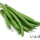 いんげん豆