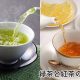 緑茶と紅茶の違い